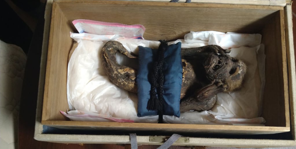 不少人魚木乃伊流傳至今，此為日本圓珠院所藏。圖引自日本倉敷藝術科學大學2023年發布〈圓珠院所蔵「人魚のミイラ」研究最終報告〉。