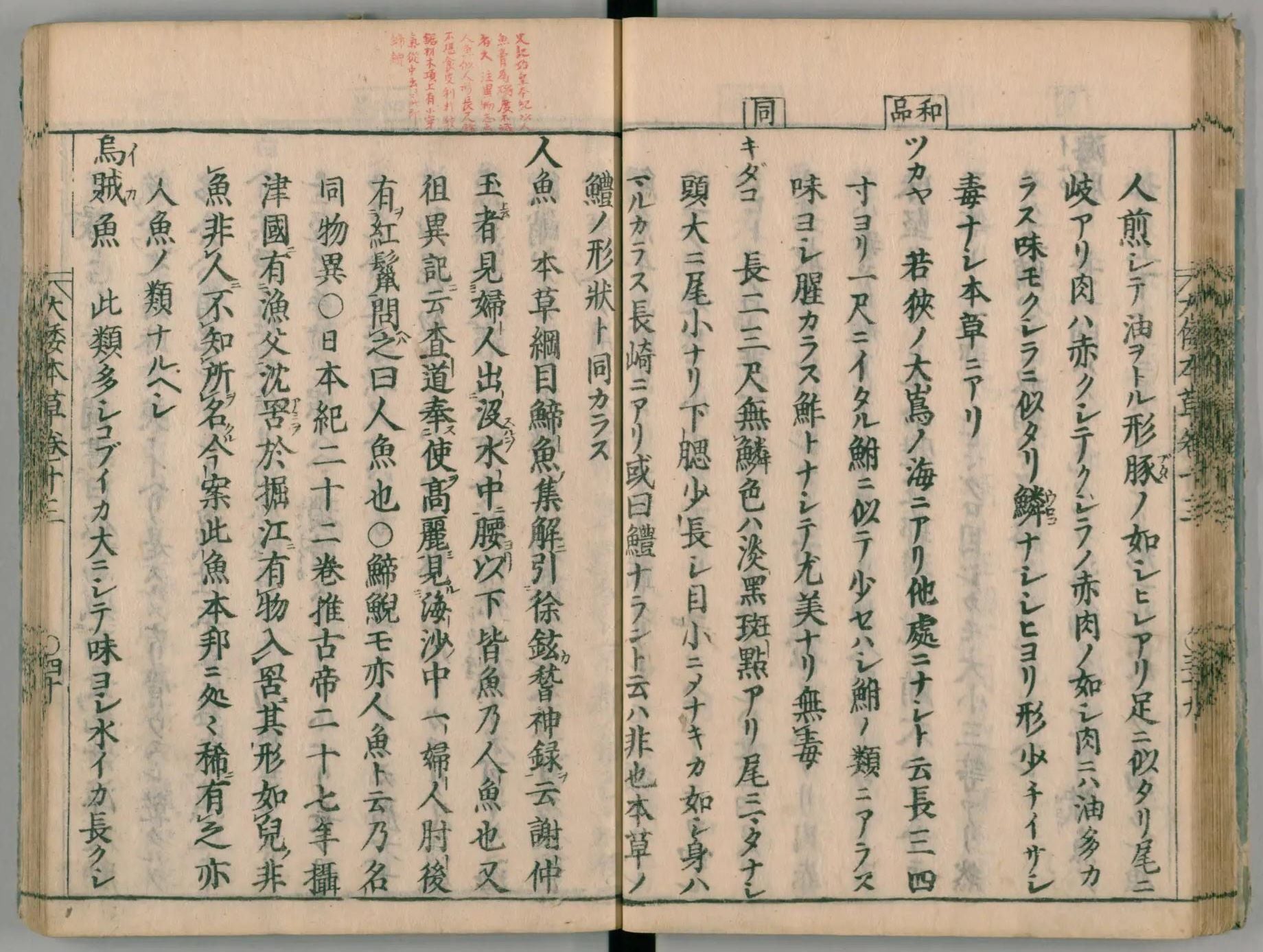 貝原益軒1709年至1715年間出版《大和本草》卷十三「魚之下（海魚）」具體記錄了「人魚」。圖引自日本國立國會圖書館數位典藏。