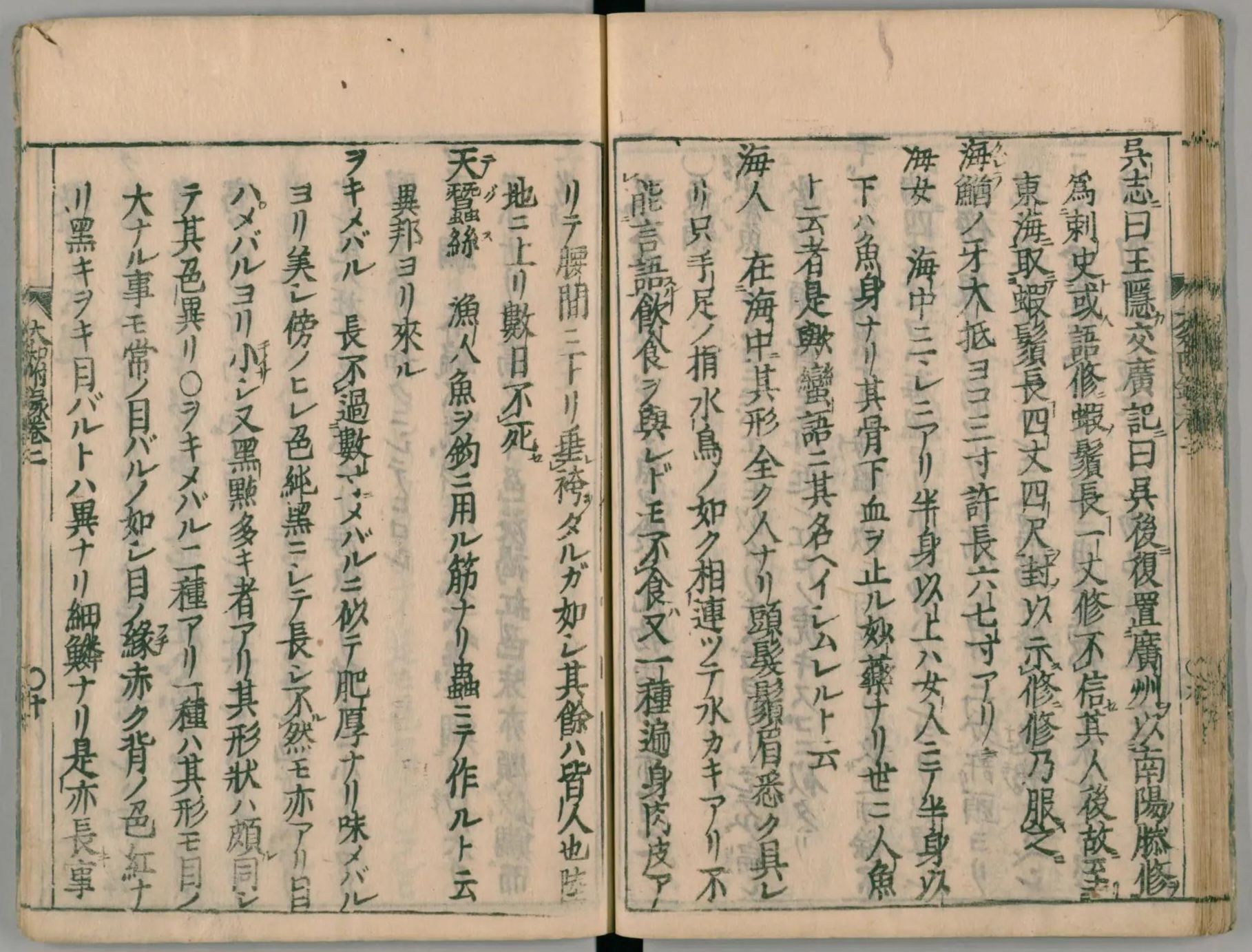 貝原益軒1709年至1715年間出版《大和本草》附錄卷之二「魚類」的「海女」，其骨具有止血之效。圖引自日本國立國會圖書館數位典藏。