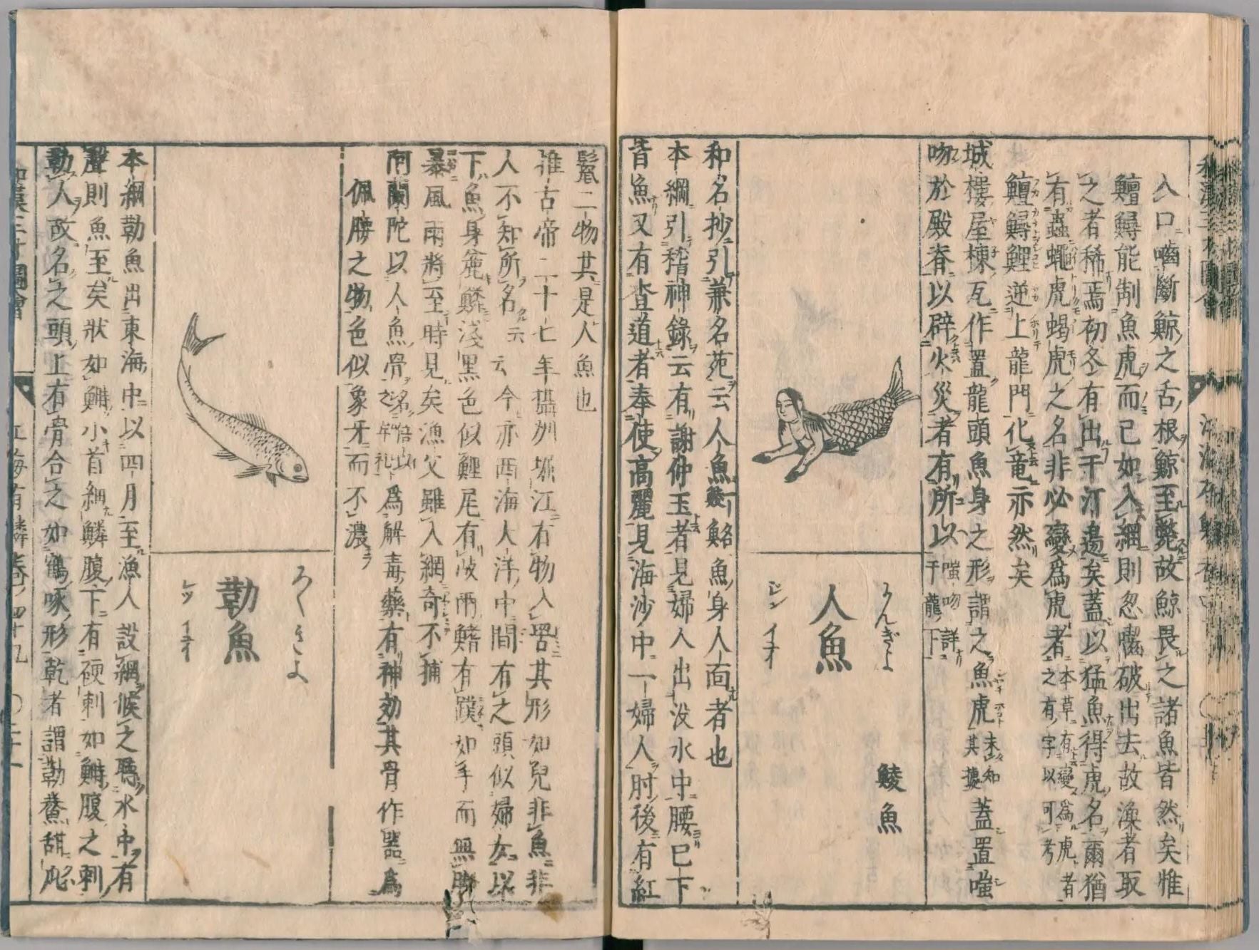 寺島良安1712年間出版《和漢三才圖會》，以圖文介紹了「人魚」。圖引自日本國立國會圖書館數位典藏。