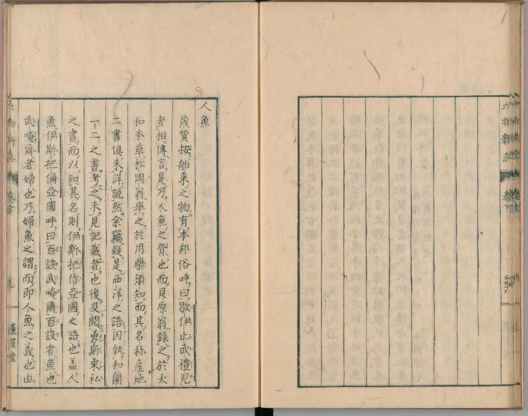 大槻玄澤1786年間出版《六物新誌》，以西洋文獻為基礎並結合日本及中國學說詳細介紹「人魚」。圖引自日本國立國會圖書館數位典藏。