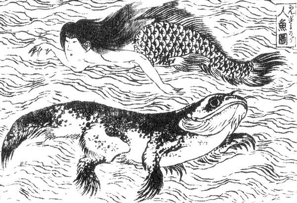 你登過《吉伊卡哇》的人魚島嗎？日本人魚傳說的長生之謎