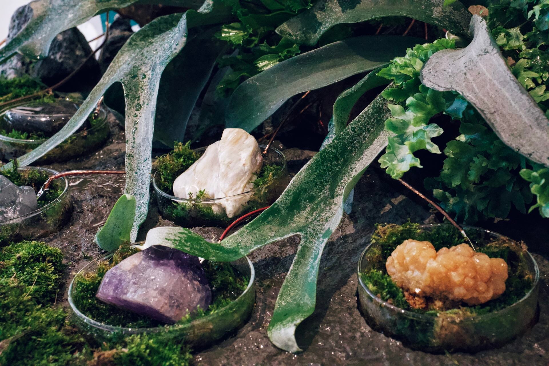 明雄獎由陳伯軒與其團隊泊人 ANKR的作品《共感棲地 Sensing Habitat》獲得，圖為作品於北科藝文中心展出局部。（泊人 ANKR提供）