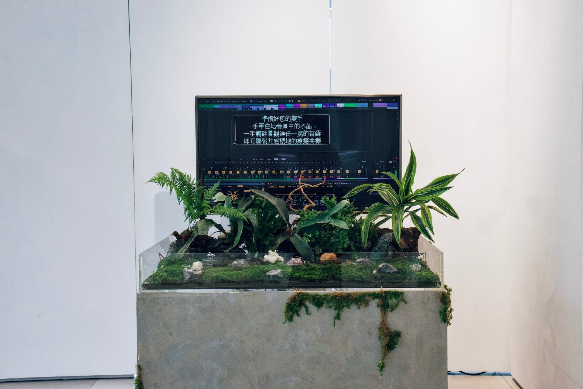 明雄獎陳伯軒《共感棲地 Sensing Habitat》以水晶、苔蘚與蕨類構成一座微型生態系。當觀者觸碰植物與礦石，微弱電流經由水分傳導至感測端，使人與自然接入同一迴路，並轉化為聲響。（泊人 ANKR提供）
