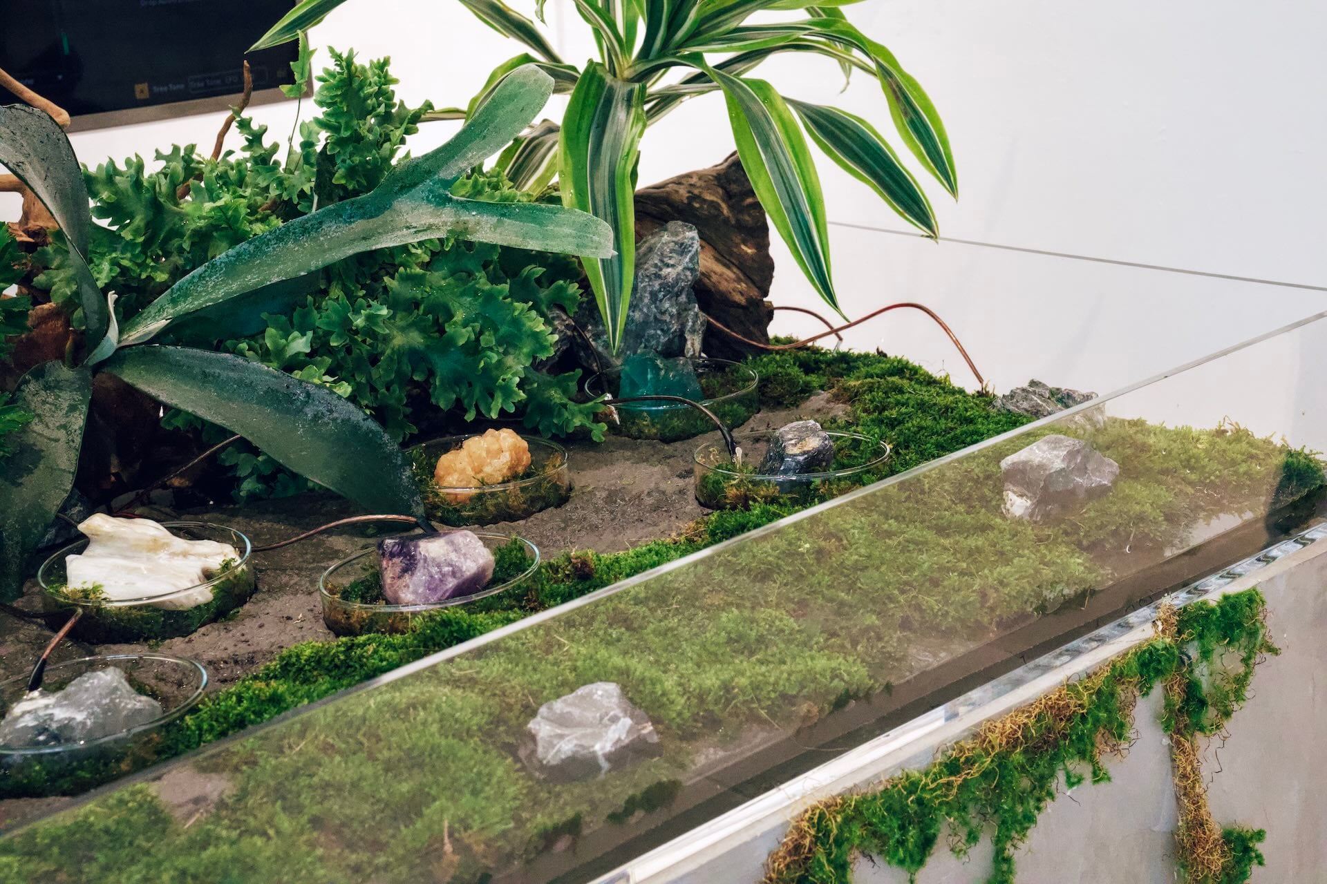 明雄獎由陳伯軒與其團隊泊人 ANKR的作品《共感棲地 Sensing Habitat》獲得，圖為作品於北科藝文中心展出局部。（泊人 ANKR提供）