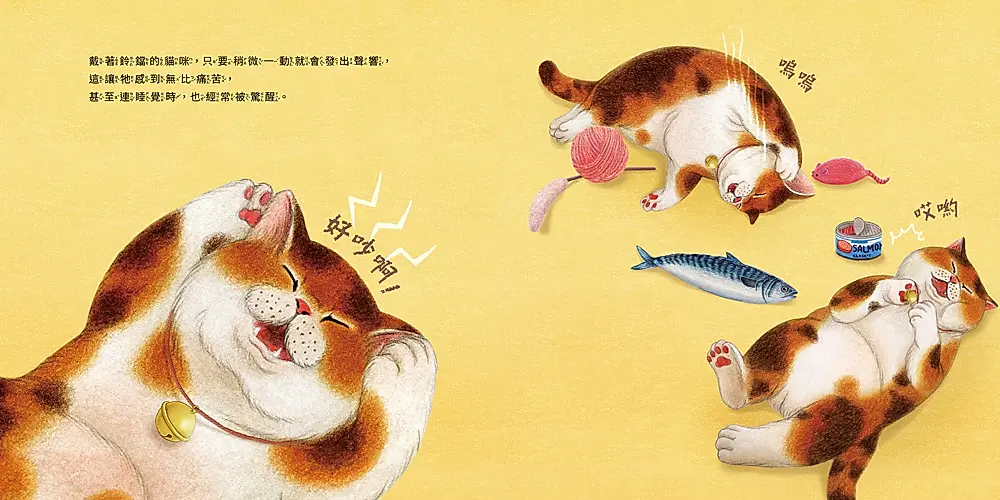 【專欄｜與故事為伍的人】《喵咪找新家》在成長的流浪裡，尋找一個剛剛好的溫暖歸屬