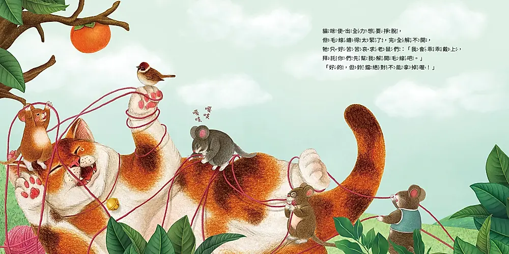 【專欄｜與故事為伍的人】《喵咪找新家》在成長的流浪裡，尋找一個剛剛好的溫暖歸屬