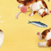 【專欄|與故事為伍的人】《喵咪找新家》在成長的流浪裡,尋找一個剛剛好的溫暖歸屬