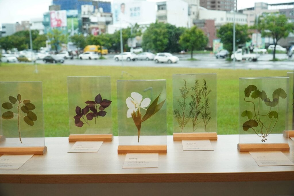 讓香草，讀懂你的生活 ! 臺東縣立圖書館「台東香草圖書館」開展 隨著香氣閱讀自己