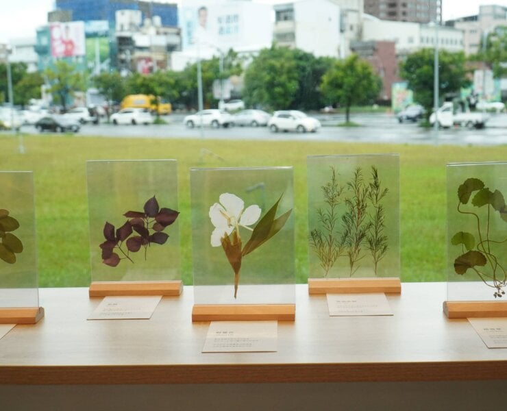 讓香草，讀懂你的生活 ! 臺東縣立圖書館「台東香草圖書館」開展 隨著香氣閱讀自己