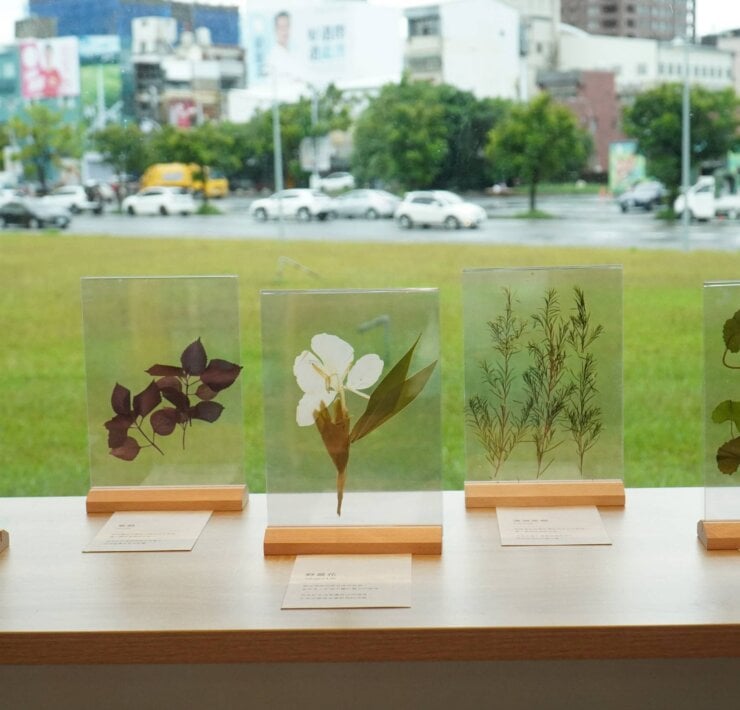 讓香草，讀懂你的生活 ! 臺東縣立圖書館「台東香草圖書館」開展 隨著香氣閱讀自己