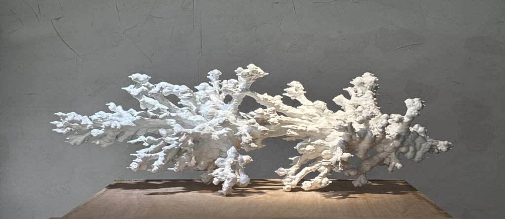 何宇森 <包覆 – 雙生>，2026，33 x 93 x 30 cm，材料：不鏽鋼、玻璃纖維強化塑膠、汽車清漆。提供/何宇森。