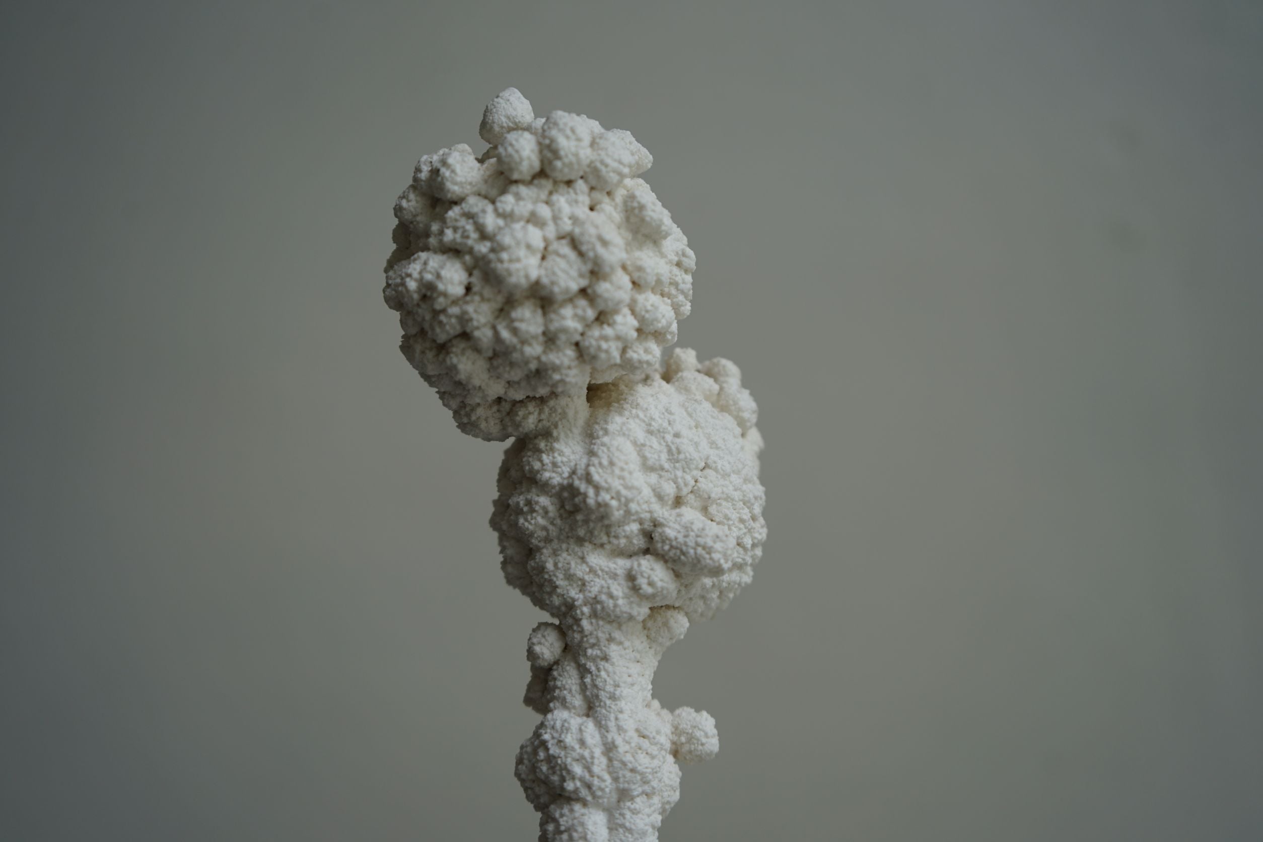 何宇森〈結晶-對象〉局部，2024，120 × 12 × 12 公分，材料：高強石膏、不鏽鋼、黑鐵、玻璃纖維強化塑膠。提供／何宇森。