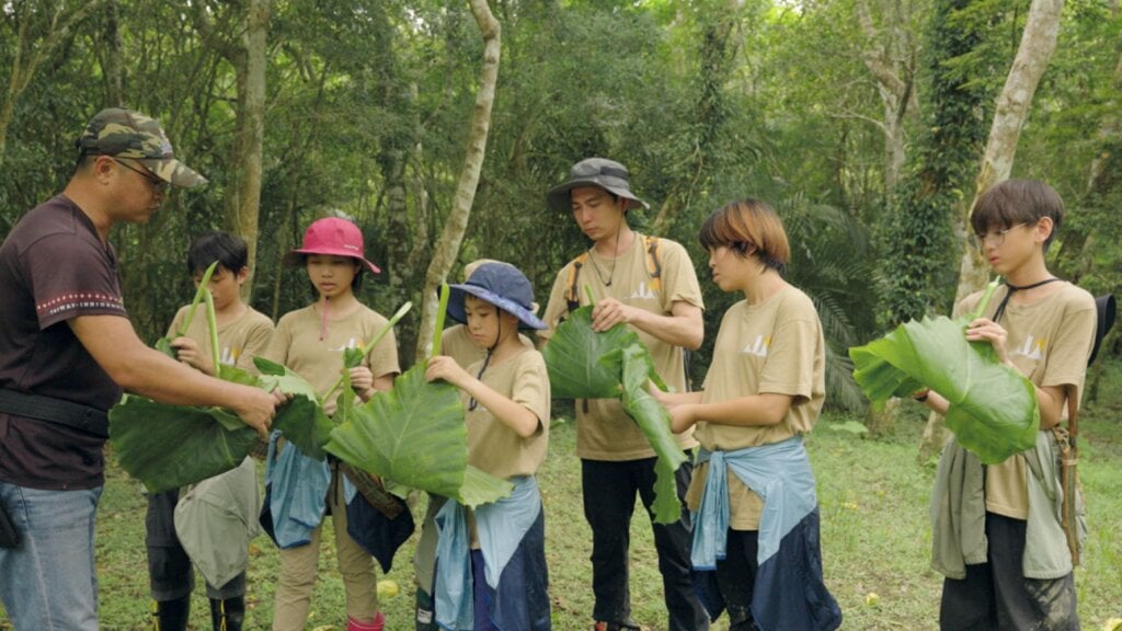 漏一滴都心痛!小腳丫「姑婆芋裝水」上演荒野接水大作戰
