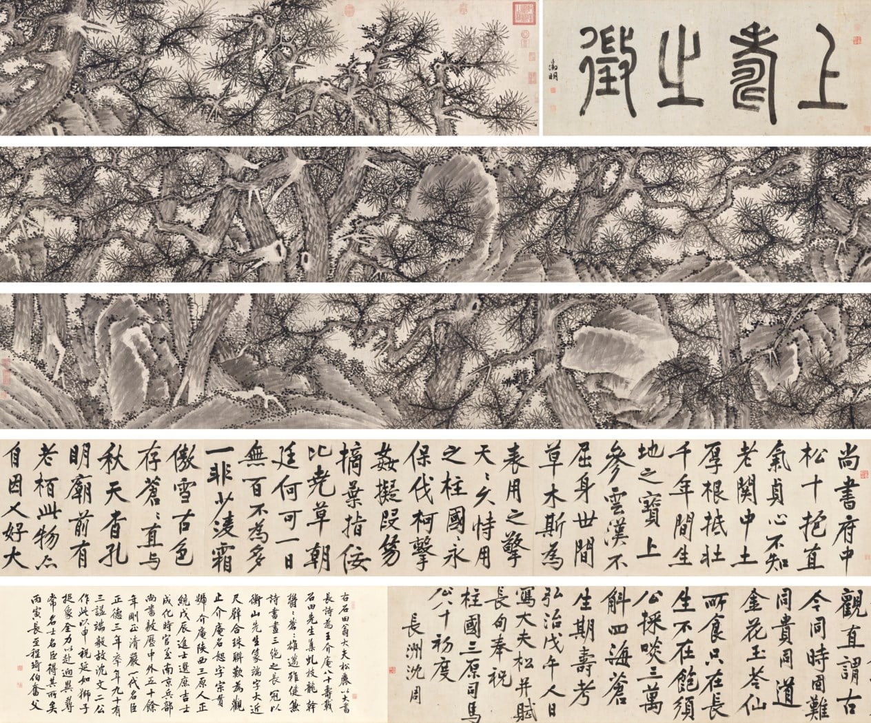 沈周1498年作《大夫松書畫卷》，水墨紙本，畫：46.5 x 787公分，書法：46.5 x 463.5 公分，估價1000萬至1800萬港元，成交價640萬港元。圖／佳士得香港。