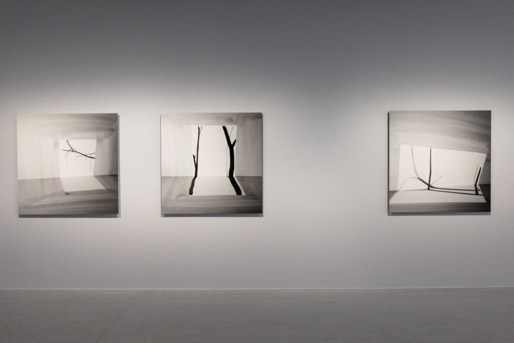 王雅慧,《問影》#1、 #2、 #3,2017,噴墨輸出、紙, 120×120公分,臺北市立美術館典藏 。圖像由臺北市立美術館提供。