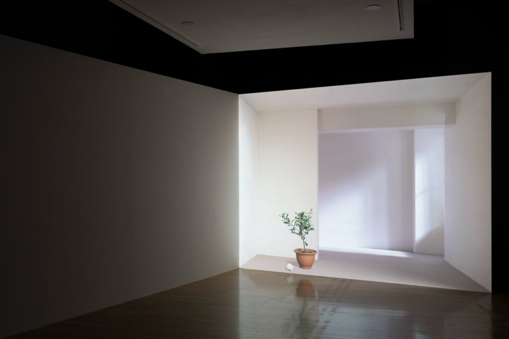 王雅慧,《日光下的靜物》,2005,單頻道錄像裝置(彩色、無聲),4分36秒,臺北市立美術館典藏。圖像由臺北市立美術館提供。