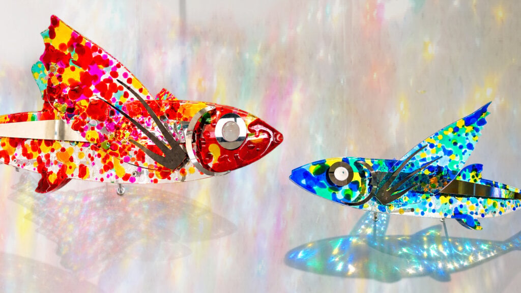 飛魚 合併 _DM